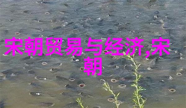 宋朝科技创新与经济繁荣探究