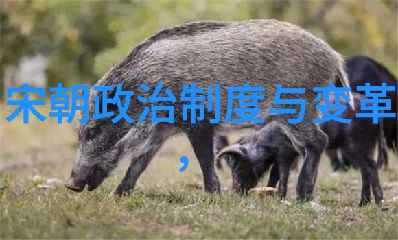 元末之际的凄惨景象帝国覆灭下的恐怖与混乱