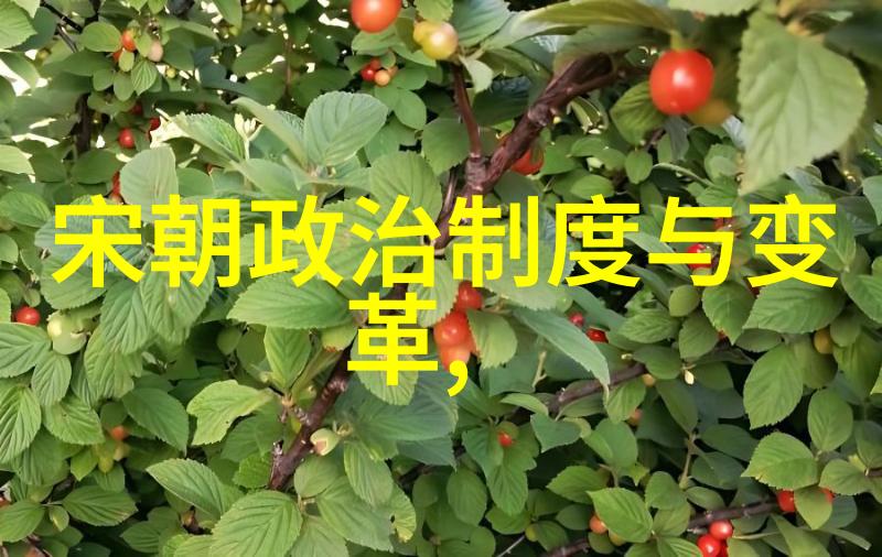 元朝风云录重走历史的长河