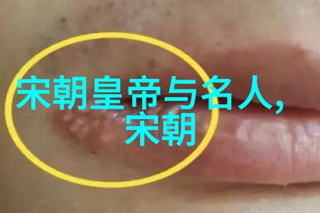 大唐盛世终结安史之乱爆发背后的社会根源