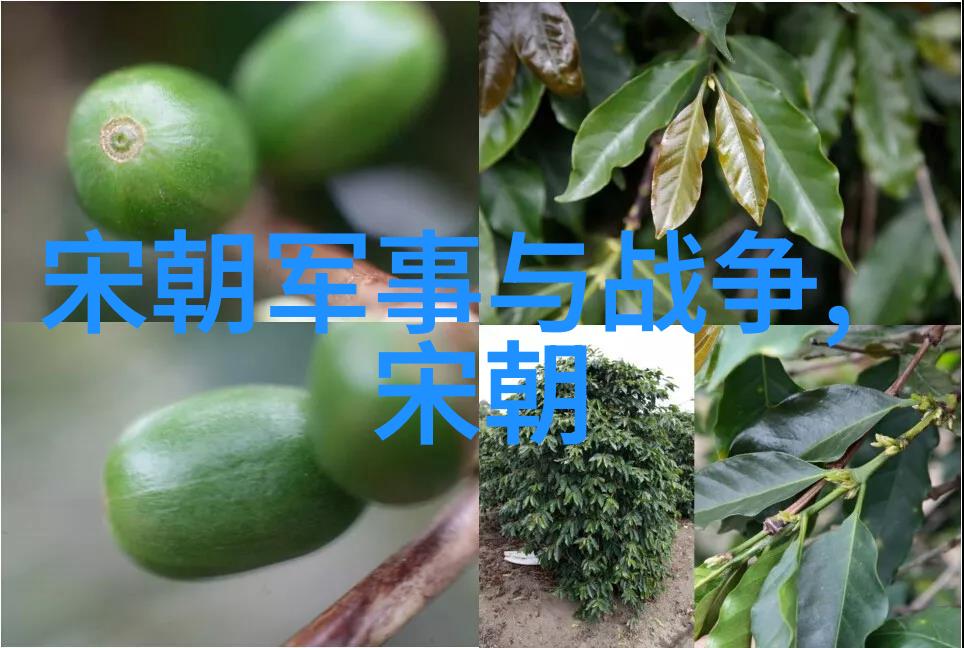 孟珙之辱南宋将领的金国皇后事件