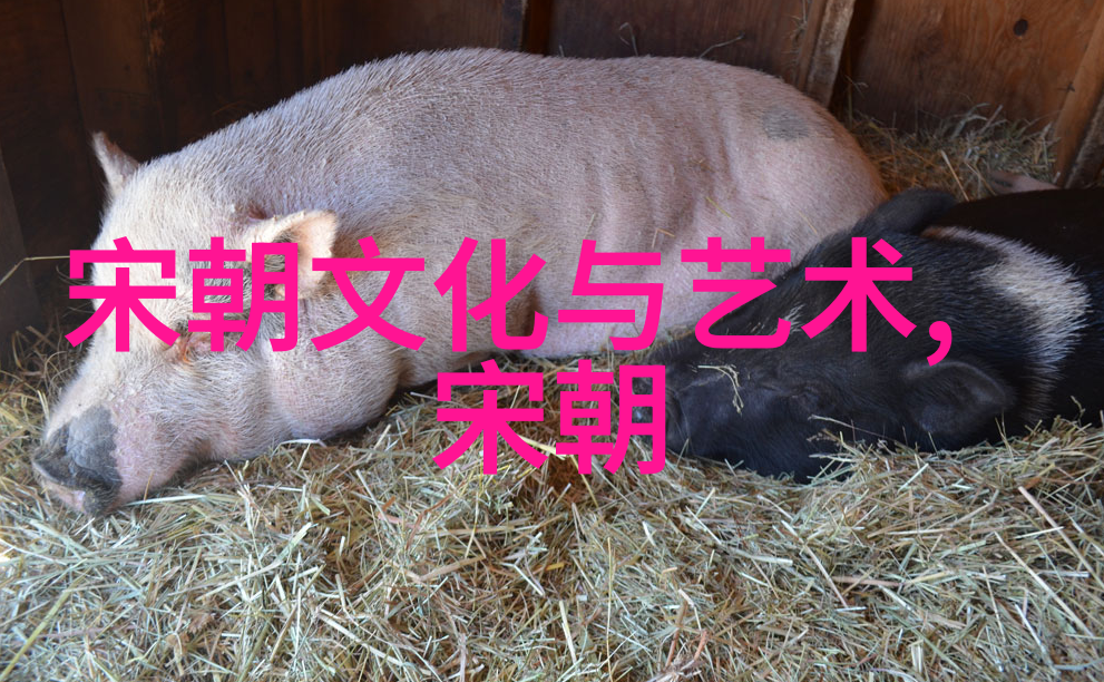 探索中华文明中国历史文化朝代顺序表解读