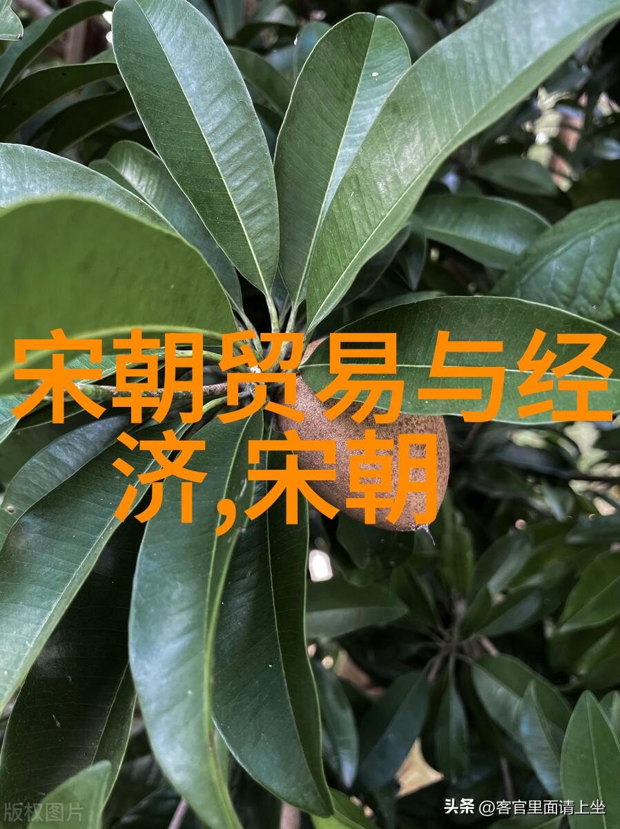 明朝台湾我亲眼见证的台湾风华从郑成功到清廷统治