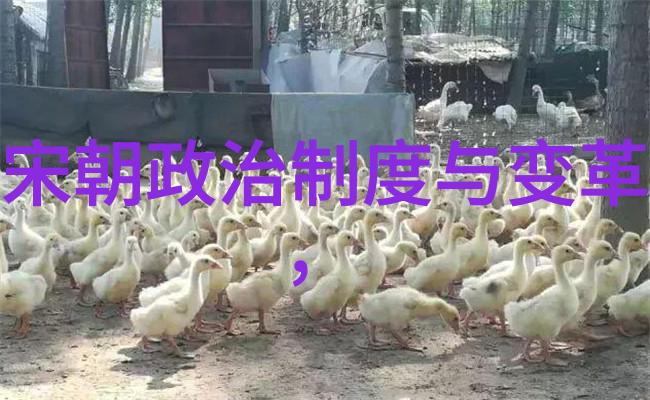 光绪之前是谁当的皇位的我听爷爷说起了清朝那些事儿