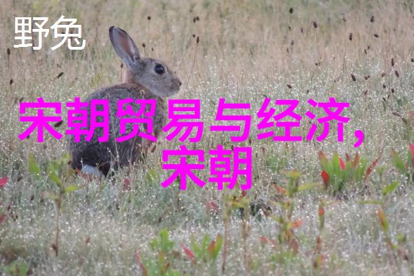 阴铿揭秘中国学术期刊网络出版总库的神秘力量