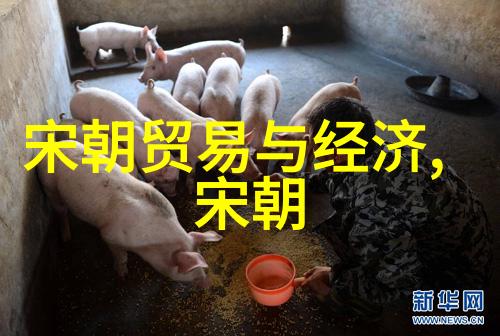 明朝覆灭的终曲1644年清军占北京的悲剧