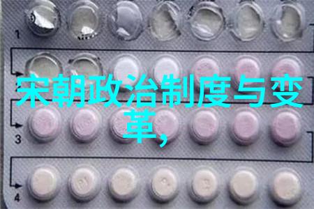 宋神宗时期的新政有什么主要内容这些改革是否成功