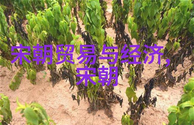 明朝三杰武功神勇的王真人智谋过人的周道安与英雄气概的范进