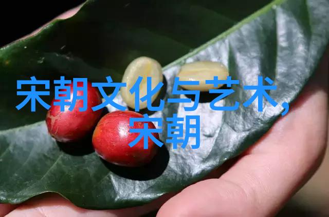 明朝历史简介时光倒影中的盛世与衰落
