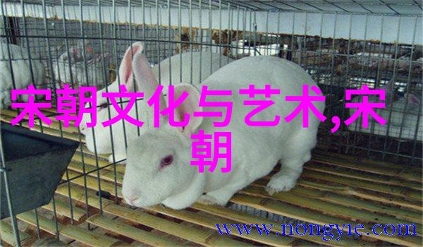 脱脱之谜元朝宰相背后的智谋与隐秘