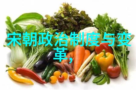 艺术与文化-九大艺术形式的分类与魅力探索
