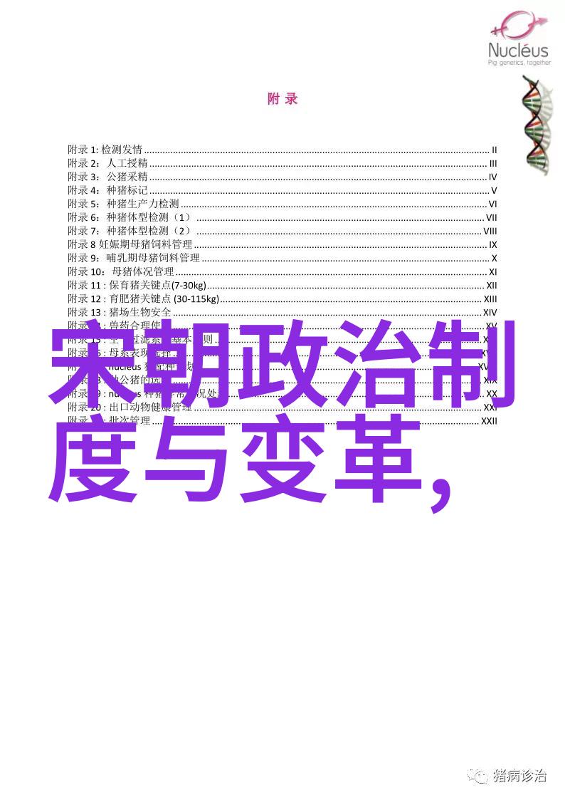 宋末之痛元军的征途与江南的哀鸣