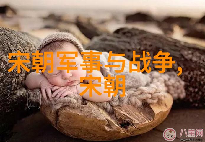 火箭发射失利初中生写给科研人员的信卓越科研学者No.17李志恒环境学院