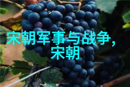 明朝中华民族的辉煌与影响