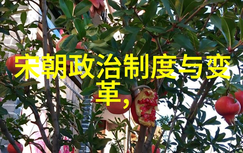 重建江南南宋的兴衰与文化繁荣