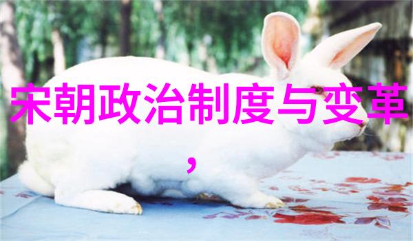 五代十国宋朝历史简介-南北分裂与中兴复辟的历史征程