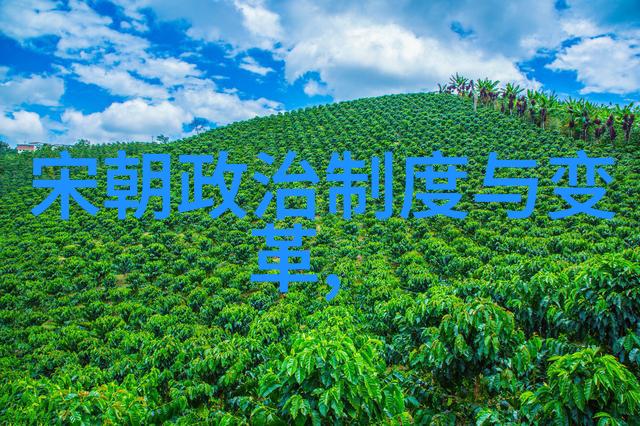 宣德盛世明朝的文化与经济繁荣