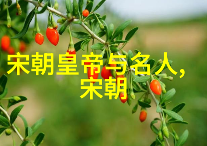 明代宗室制度及其对后世影响深远之处考察