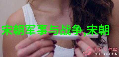 明末三大案-天地崩塌李自成张献忠与吴三桂的逆乱记