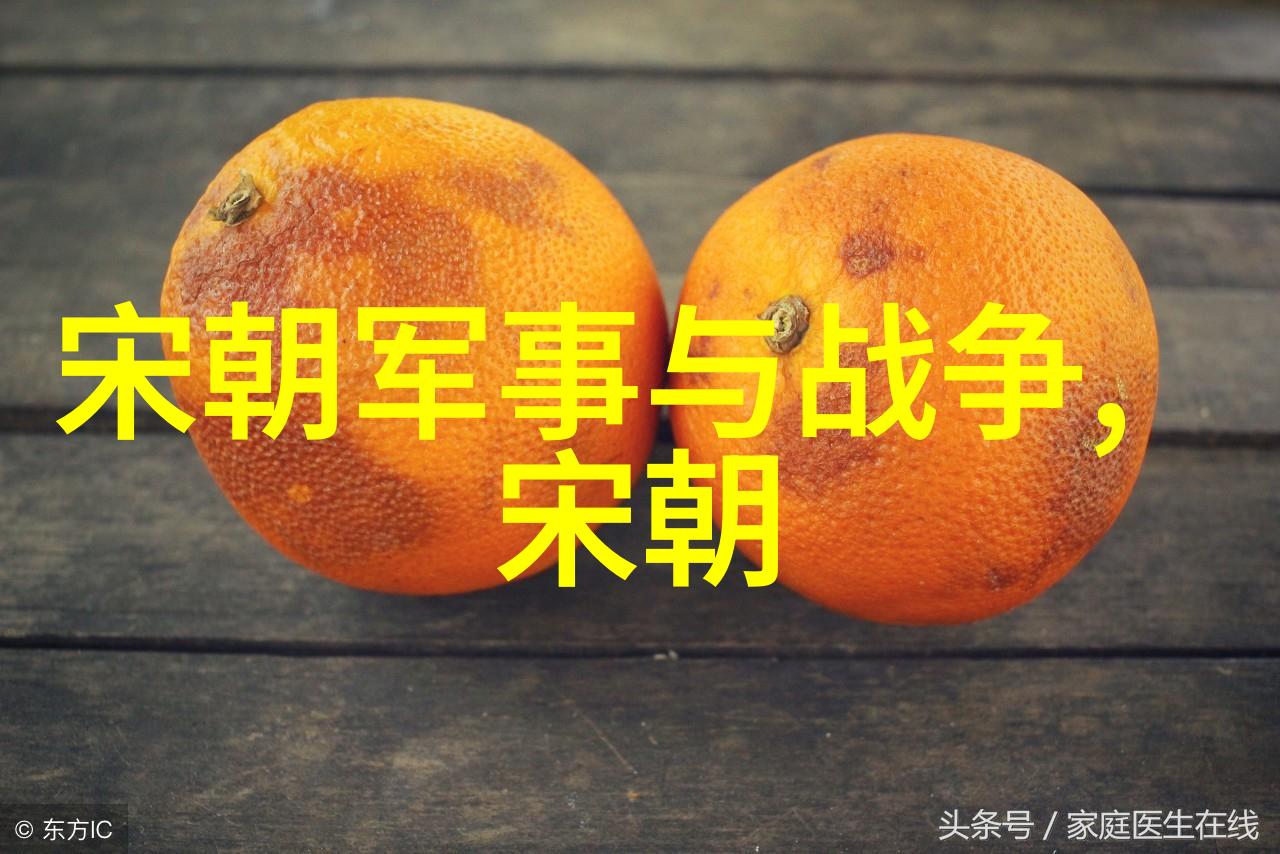 明代宫女谋杀-紫禁城里的阴影一段宫廷谋杀的悲剧