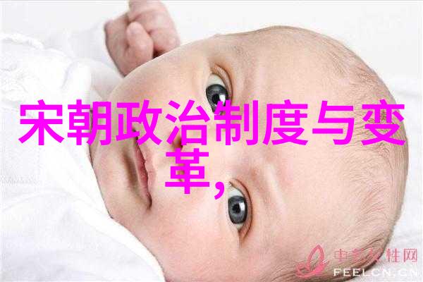明朝最好的帝王是谁-明代英主探究论朱元璋与朱棣的治世之策