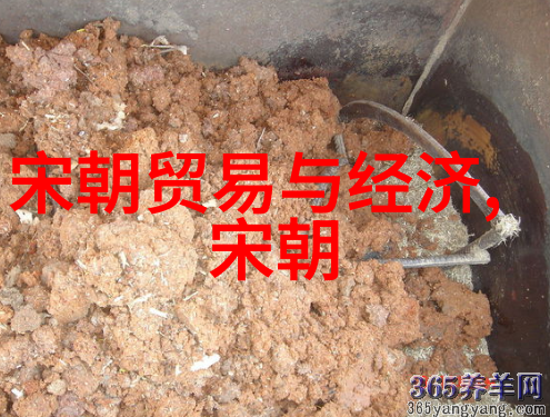 覆灭的辉煌元朝崩溃的隐秘原因