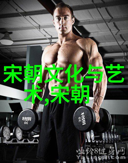 宋朝的辉煌与专家的误区一场历史审视的奇幻之旅