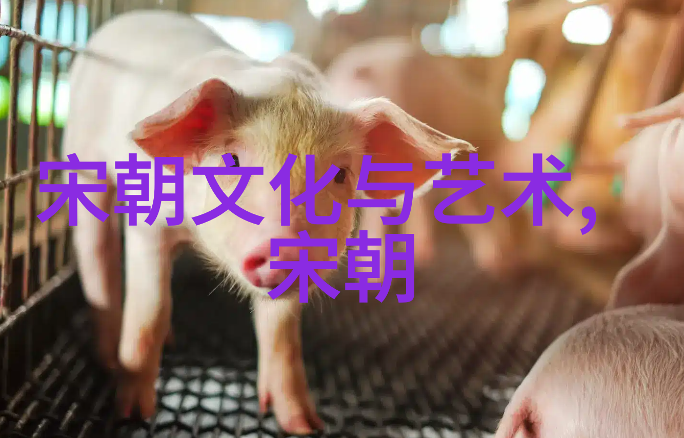 元朝民间故事集传说与传奇中的明月与飞鸿