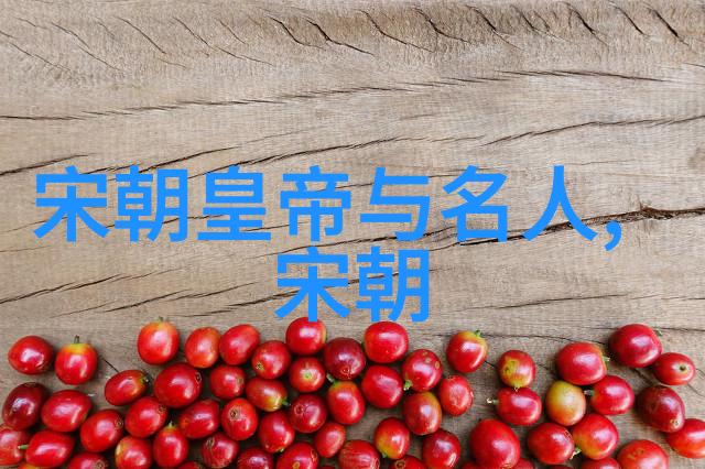 明朝帝王世系图解揭秘后宫的复杂关系