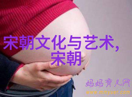 明朝朱允炆下落真相揭秘沉浮千年谜团重现