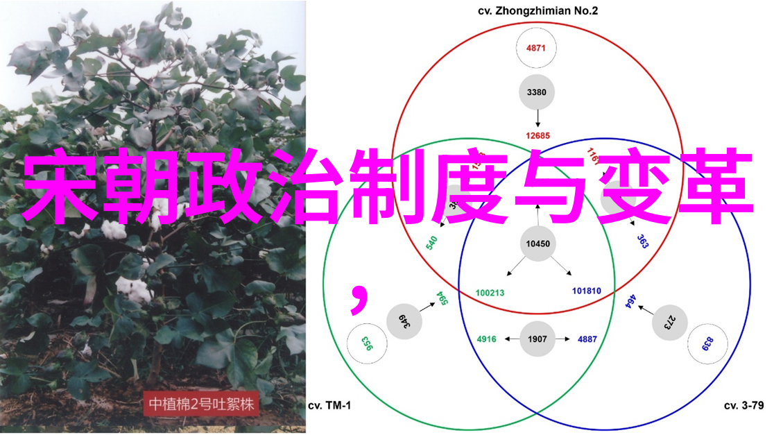 人类文明的5000年历史顺序从古埃及金字塔到现代科技成就