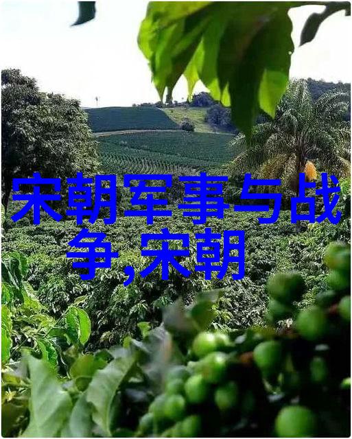 明太祖朱元璋之痛刘伯温逝世后的悲伤与后事