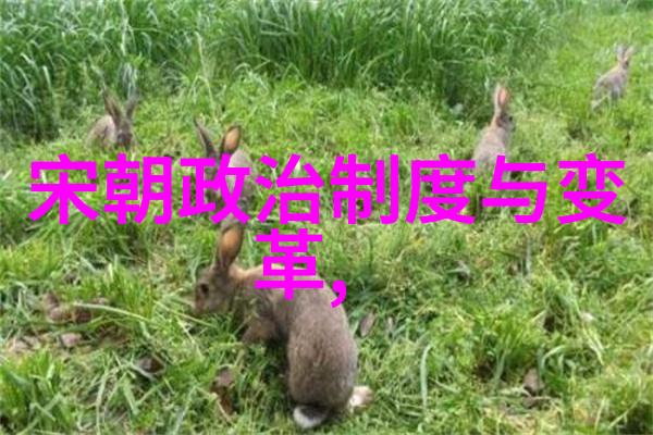 明朝宣德之治文化繁荣与经济兴盛的篇章