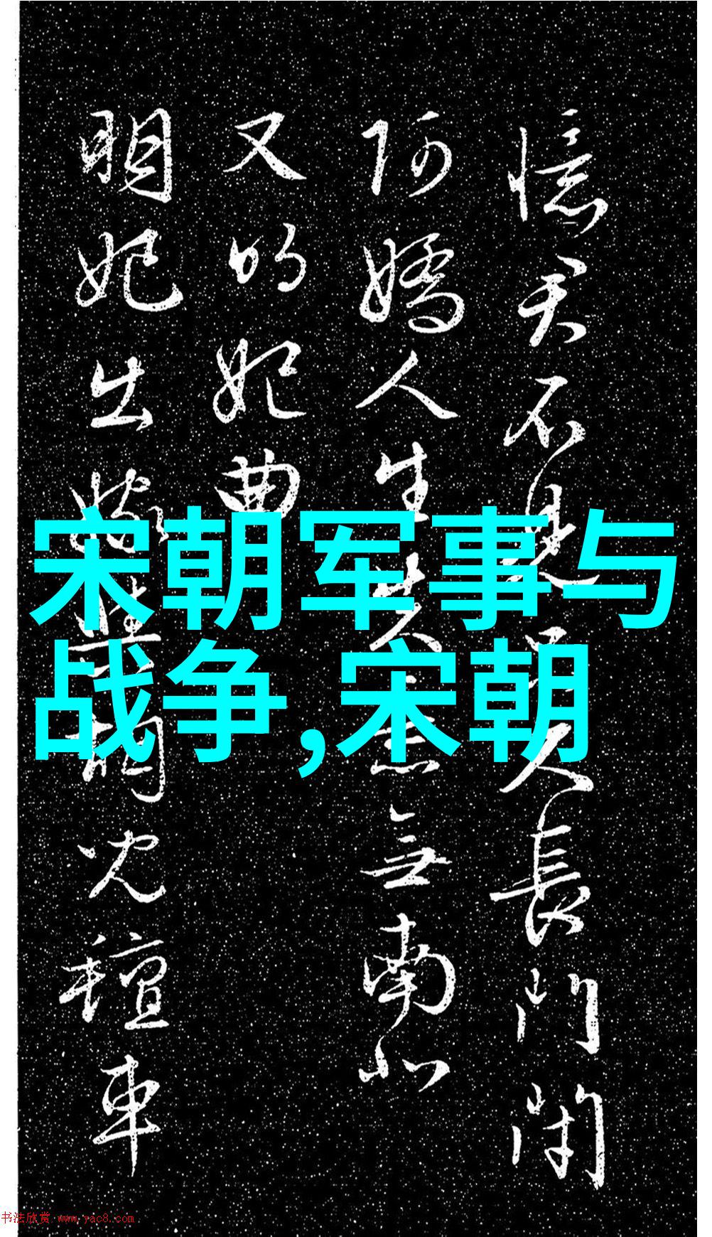灭宋之主揭秘历史的暗影