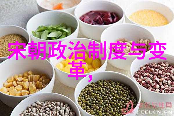 明朝那些事儿小说免费阅读我在古籍阁里找到了明朝的秘密