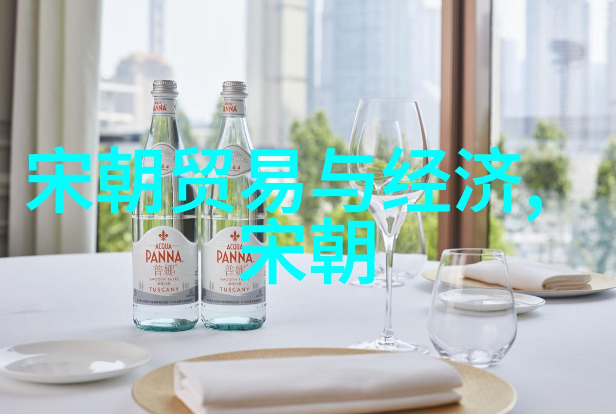 宋国风华录百年盛世的历史足迹