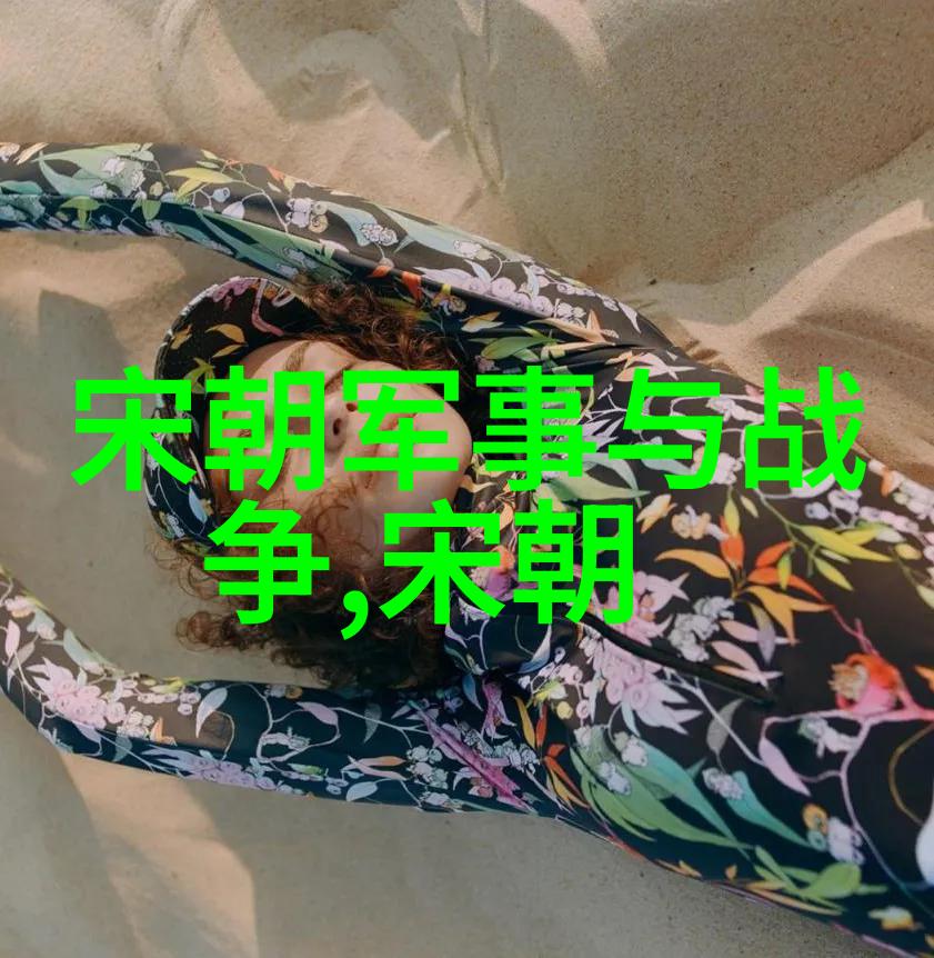 明朝帝王辉煌录龙腾四海的智慧与勇气
