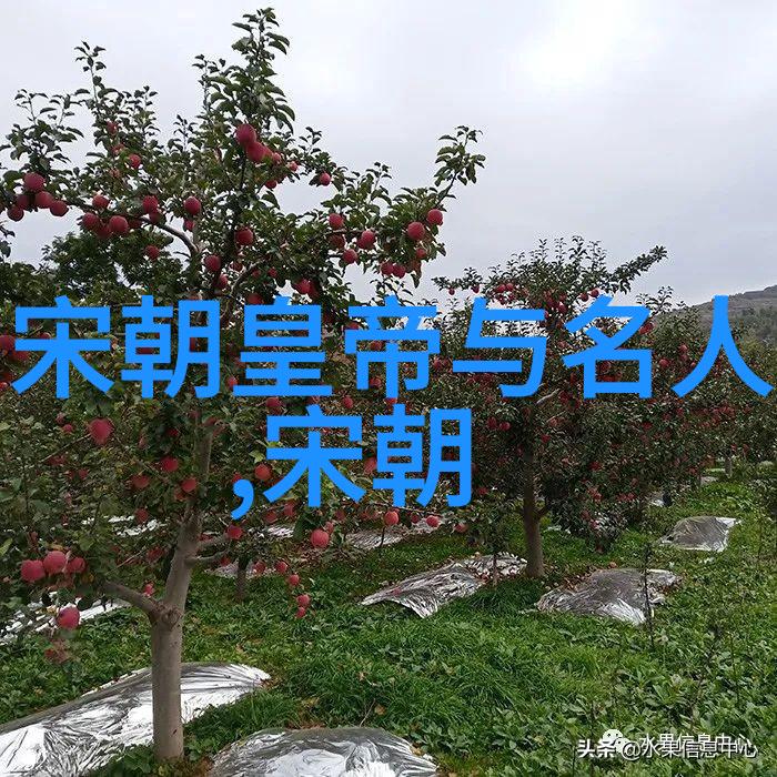 权力交接前的焦虑分析汉王对朱瞻基未来命运的担忧
