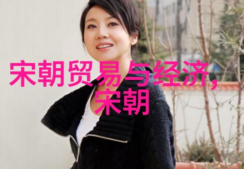清朝与明朝比较科技文化与经济的发展差异分析清朝与明朝对比