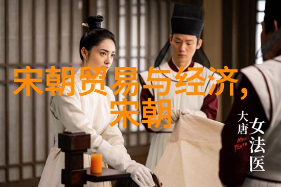 历史探究-明朝的阴影黑暗与光辉的双重面