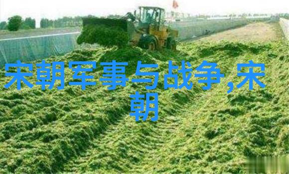 古代战争策略在现代视角下的再审视以南宋名将孟珙尝后图为例