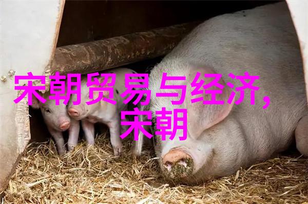 程之京剧票友探寻王珮瑜综艺风采