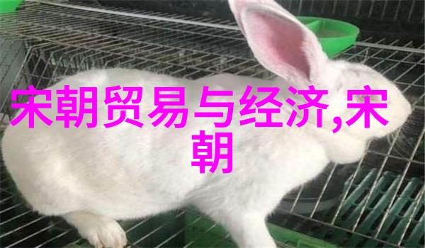 武术中的运动防护人物在后西辽的实战演练