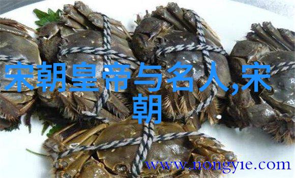 辉煌的盛世探秘元朝的文化与艺术