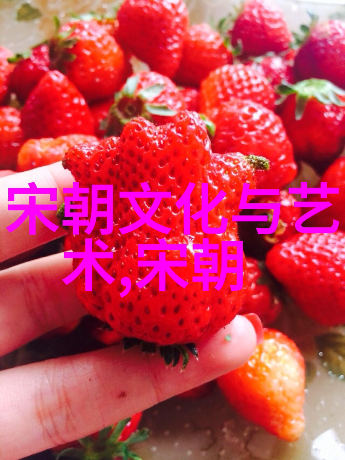 清末疆域不屈宁死不割让的最后一刻