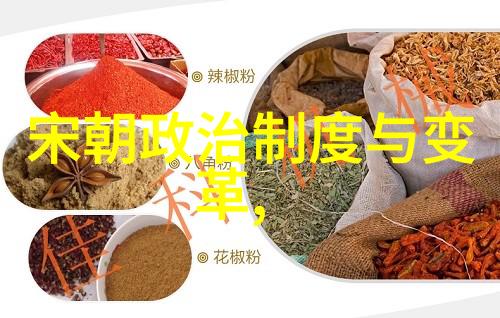 揭开历史的迷雾朱允炆下落之谜的终极解密