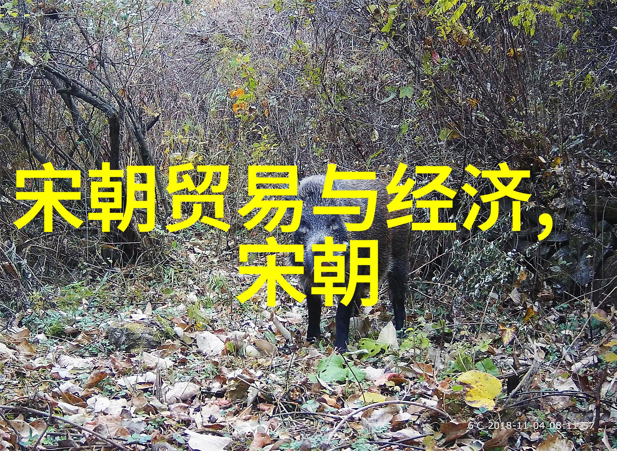 明朝咱们说说有多少个