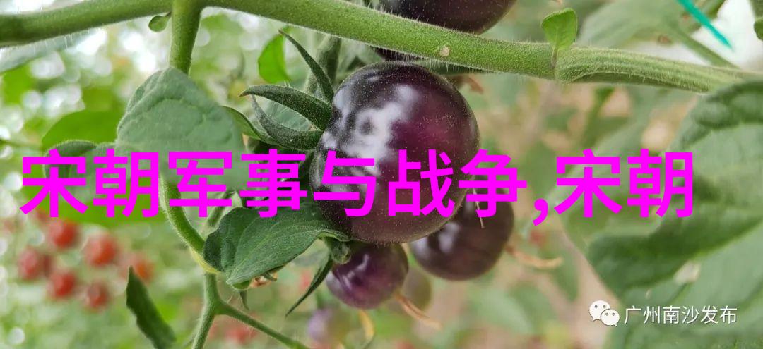 明朝覆灭考政治腐败与内部矛盾的深度分析