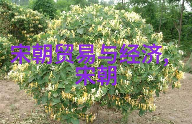 历史与文化-明朝的光芒国人为什么仍然钟情于那一段辉煌