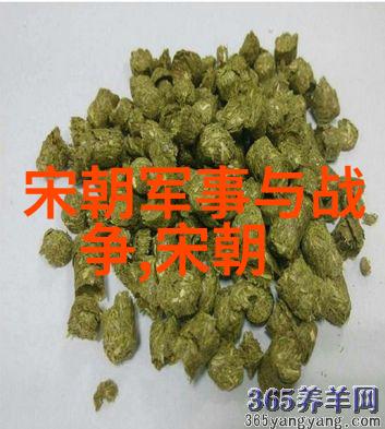 我来告诉你元朝那些让人印象深刻的历史大事儿
